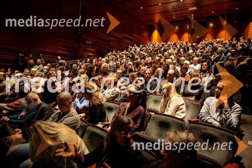 Zaljubljeni Shakespeare, predstava v sklopu gledališkega festivala Ruta Grupa Triglav 2023