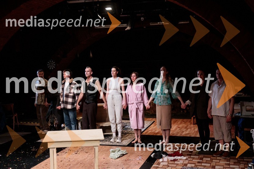  Ivan Peternelj, igralec;  Romana Šalehar, igralka;  Stane Tomazin, igralec;  Boris  Šeparović, igralec;  Miranda  Trnjanin, igralka;  ... ;  Lara Vouk, igralka;  Daša Doberšek, igralka;  Primož Bezjak, igralec, plesalecLjubimki, premiera predstave v SMG Ljubljana