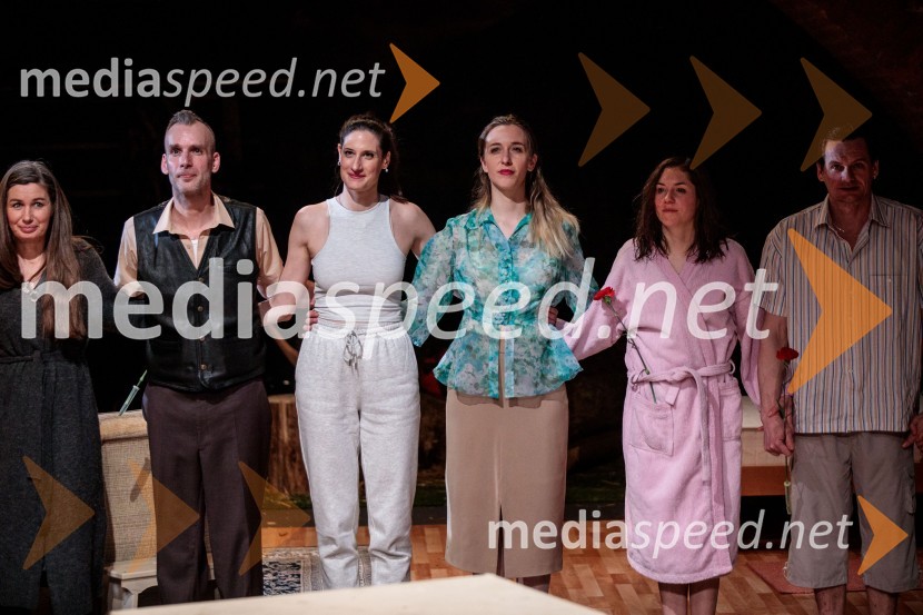  Romana Šalehar, igralka;  Boris  Šeparović, igralec;  Miranda  Trnjanin, igralka;  Lara Vouk, igralka;  ... ;  Primož Bezjak, igralec, plesalecLjubimki, premiera predstave v SMG Ljubljana