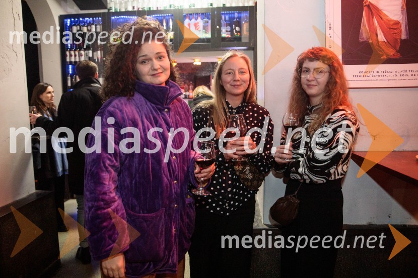 Ljubimki, premiera predstave v SMG Ljubljana