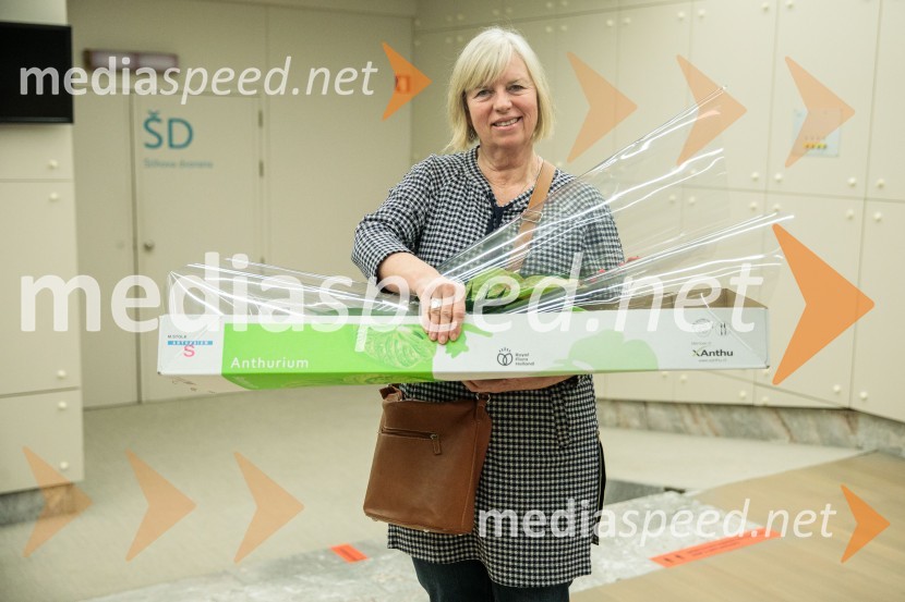 Gorjanci, premiera, Cankarjev dom