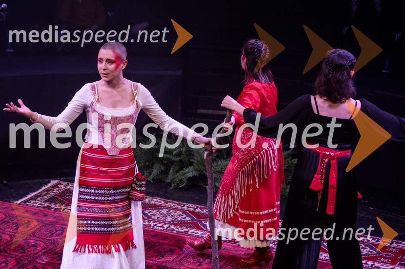  Nataša Keser, igralka;  Zvezdana Novaković , pevka, harfistka, igralka, performerka;  Urša Kavčič, igralkaGorjanci, premiera, Cankarjev dom