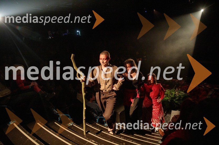  Nataša Keser, igralka;  Urša Kavčič, igralka;  Zvezdana Novaković , pevka, harfistka, igralka, performerkaGorjanci, premiera, Cankarjev dom