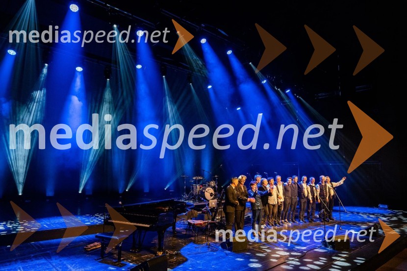 Tragom Olivera; Po sledeh Oliverja, koncert Oliverju Dragojeviću v spomin