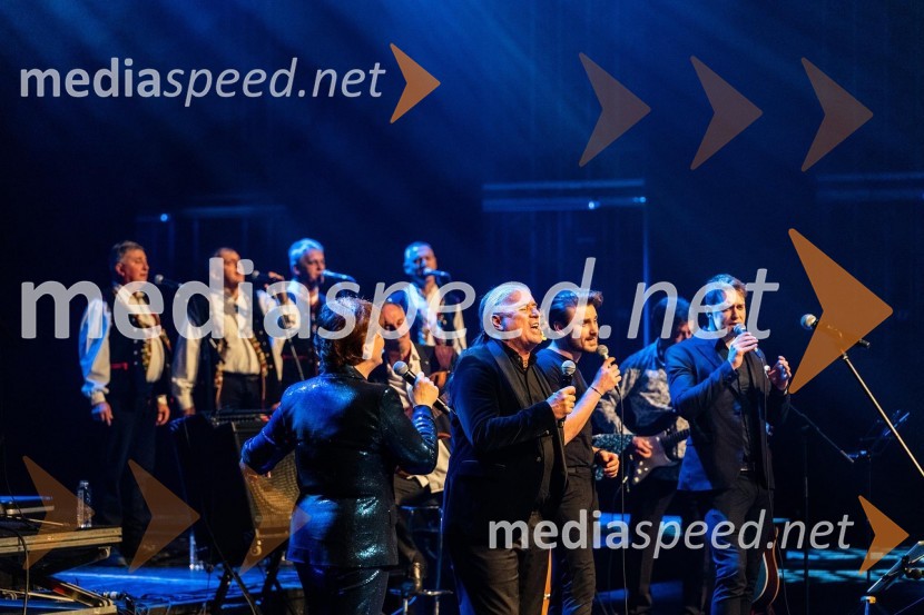 Tragom Olivera; Po sledeh Oliverja, koncert Oliverju Dragojeviću v spomin