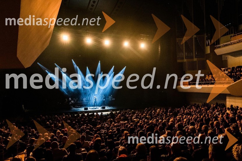 Tragom Olivera; Po sledeh Oliverja, koncert Oliverju Dragojeviću v spomin