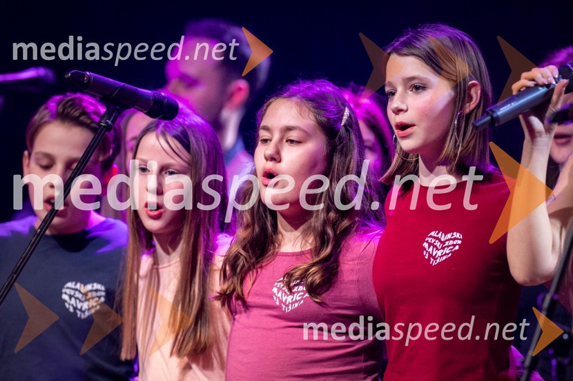 Nika Zorjan - od začetka, veliki koncert ob 10. obletnici delovanja