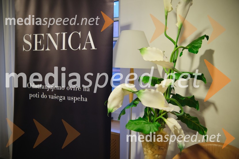 Srečanje Alumni kluba Fundacije Parus