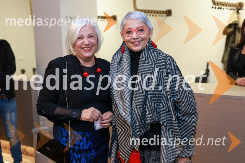  Andreja  Rihter, direktorica, Forum slovanskih kultur in nekdanja ministrica za kulturo;  Alja Predan, dramaturginja SLG Celje, nekdanja umetniška direktorica Festivala Borštnikovo srečanje, selektorica festivala Dneva komedije31. Dnevi Komedije v Celju, otvoritev festivala s predstavo Nikoli ni prepozno