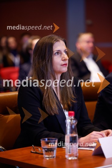  Tatjana Bojkovska, CFA, CAIA, CIPMCFA Research Challenge Local finals 2022/2023