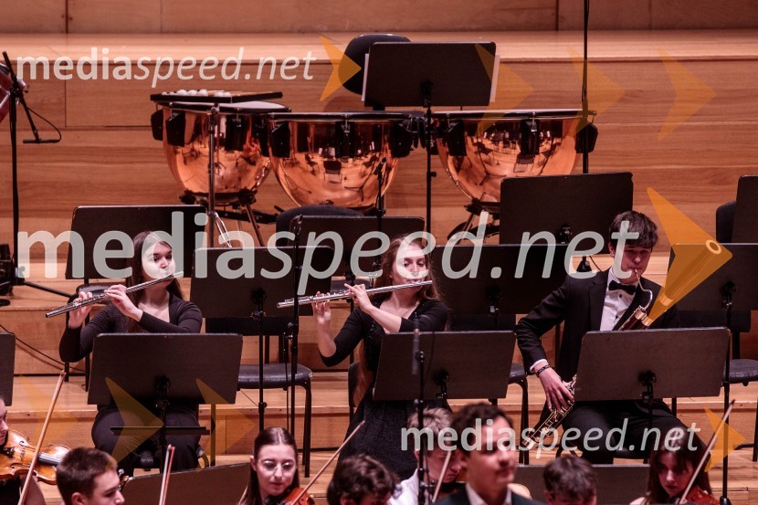 Slovenski mladinski orkester, 6. zimski festival 2023