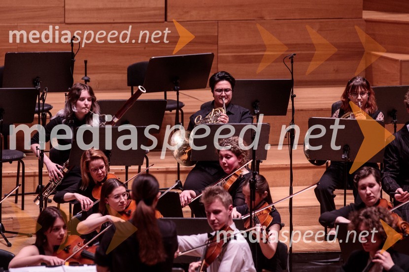 Slovenski mladinski orkester, 6. zimski festival 2023