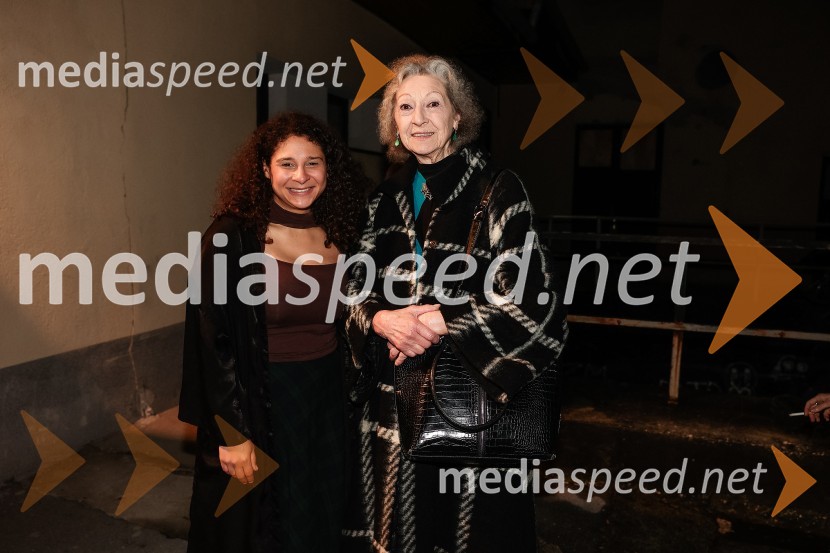  Lina Akif, igralka;  Alenka Pirjevec, Združenje dramskih umetnikov SlovenijeSpolna vzgoja II: Zmožnost, premiera, Nova Pošta, SMG Ljubljana