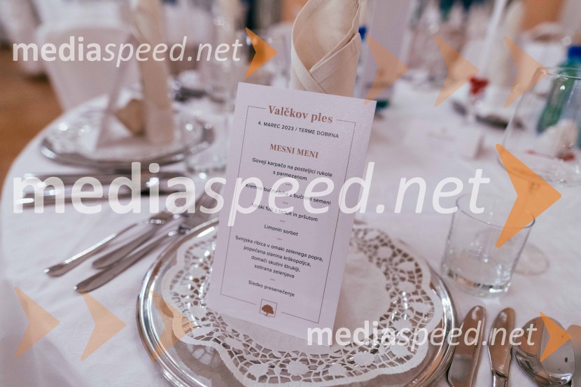 Tradicionalni valčkov ples 2023