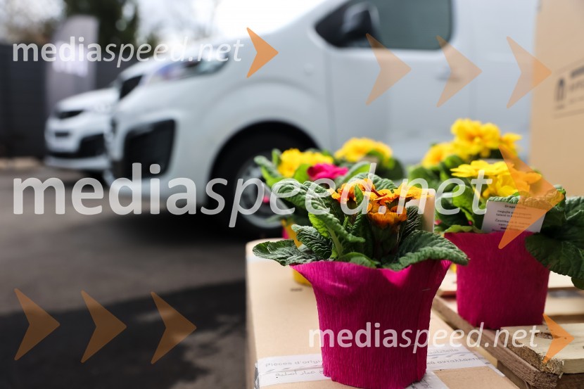 Novi Fiat Scudo, predstavitev