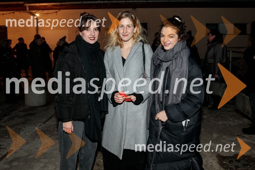  Mojca Madon, režiserka;  Ivana Percan Kodarin, igralka;  Diana  Kolenc, igralkaSpolna vzgoja II: IGRE, premiera, Nova Pošta, SMG Ljubljana