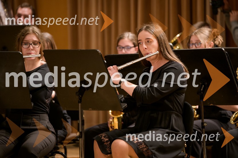 Elda Viler z orkestrom Ave in gosti, koncert ob 60. letnici delovanja