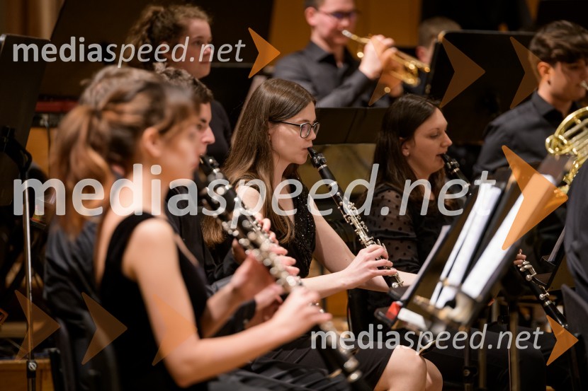 Elda Viler z orkestrom Ave in gosti, koncert ob 60. letnici delovanja