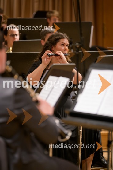 Elda Viler z orkestrom Ave in gosti, koncert ob 60. letnici delovanja