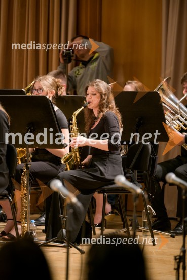 Elda Viler z orkestrom Ave in gosti, koncert ob 60. letnici delovanja