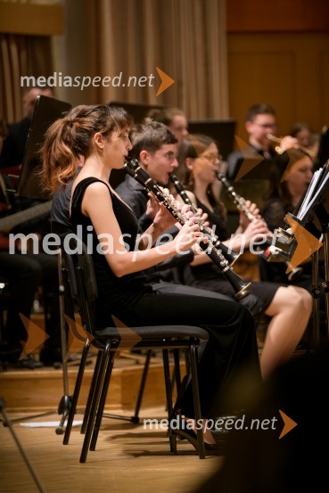 Elda Viler z orkestrom Ave in gosti, koncert ob 60. letnici delovanja
