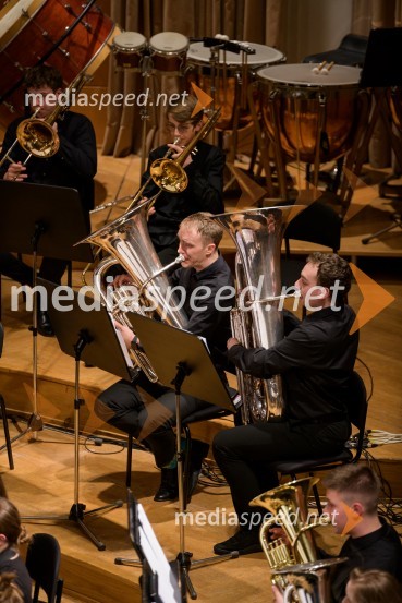 Elda Viler z orkestrom Ave in gosti, koncert ob 60. letnici delovanja