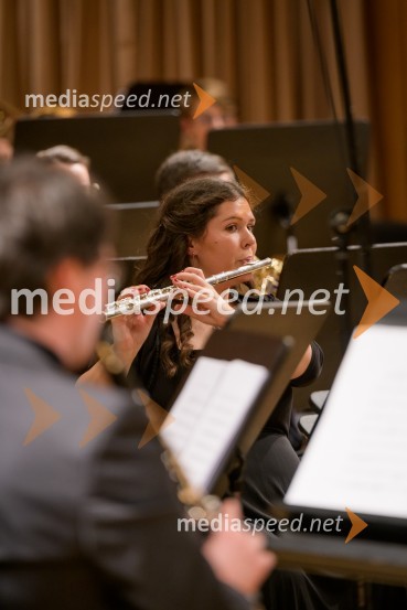 Elda Viler z orkestrom Ave in gosti, koncert ob 60. letnici delovanja