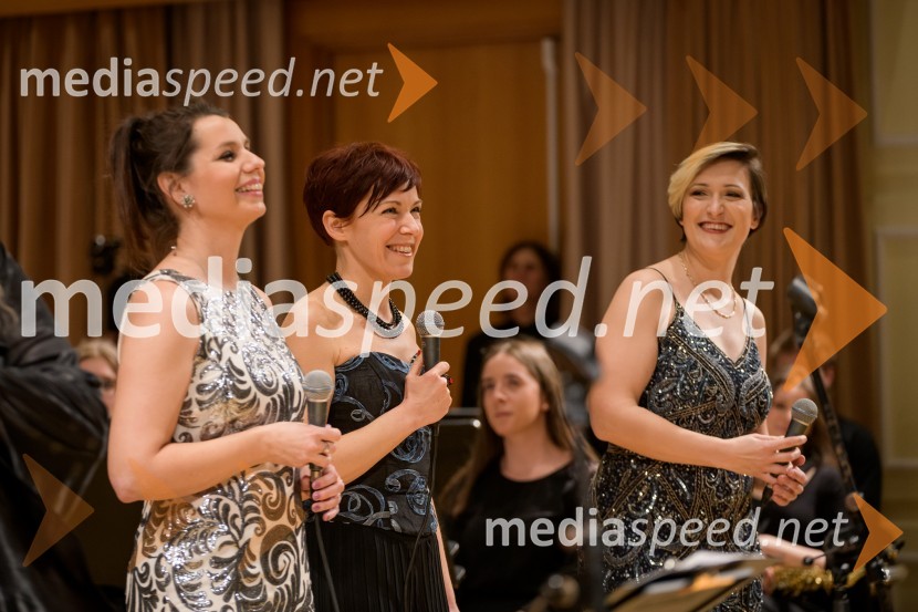  Iva Stanič, pevka;  Kristina Oberžan, glasbenica;  Tanja Srednik, glasbenicaElda Viler z orkestrom Ave in gosti, koncert ob 60. letnici delovanja