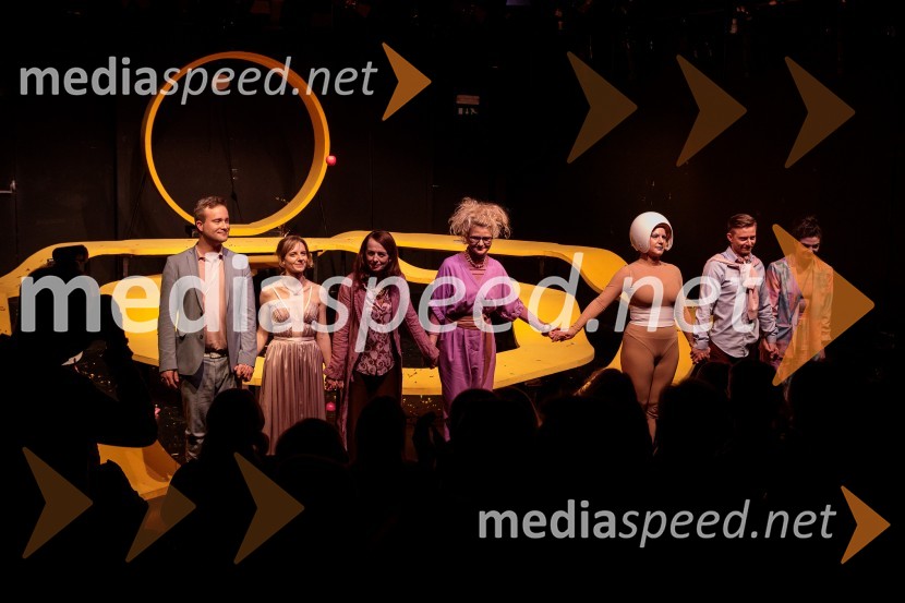  Gregor Podričnik, igralec;  Lena Hribar  Škrlec, igralka;  Bernarda Oman, igralka;  Tanja Dimitrievska, igralka;  Karin Komljanec, igralka;  Jure Rajšp, igralec;  Diana  Kolenc, igralkaLunapark, premiera drame