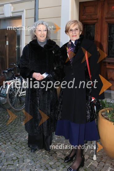  Alenka Pirjevec, Združenje dramskih umetnikov Slovenije;  Mojca Kreft, dramaturginja in teatrologinjaPalčica, premiera lutkovne predstave