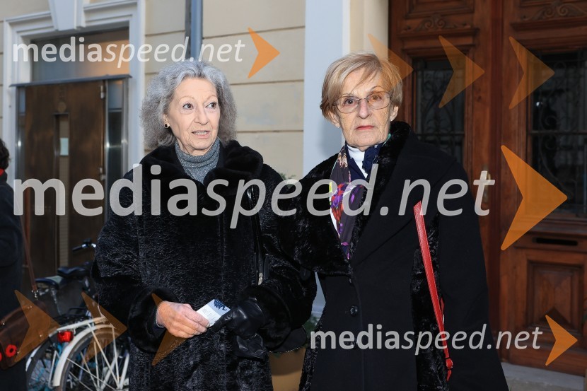  Alenka Pirjevec, Združenje dramskih umetnikov Slovenije;  Mojca Kreft, dramaturginja in teatrologinjaPalčica, premiera lutkovne predstave