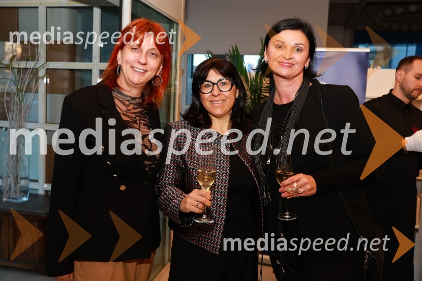  Jerneja  Kamnikar, ustanoviteljica in direktorica Vivo Catering;  Monika Lapanja, direktorica, Center poslovne odličnosti, Ekonomska fakulteta, Univerza v Ljubljani;  Simona Špilak, direktorica, BOC InstitutePoslovna liderka in poslovni lider leta 2023