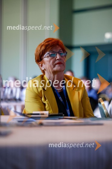 prof. dr.  Danica  Purg,  direktorica IEDC Poslovna šola Bled10. mednarodni Logistični kongres