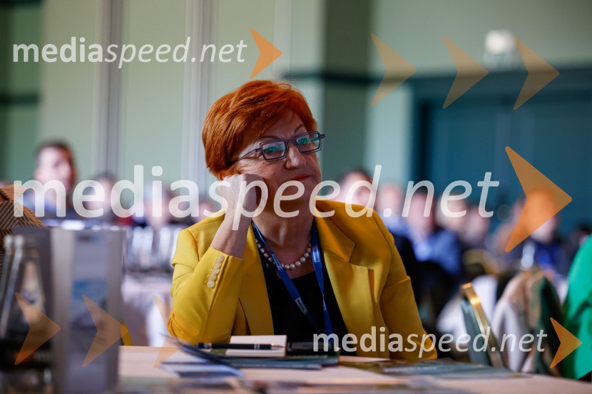 prof. dr.  Danica  Purg,  direktorica IEDC Poslovna šola Bled10. mednarodni Logistični kongres