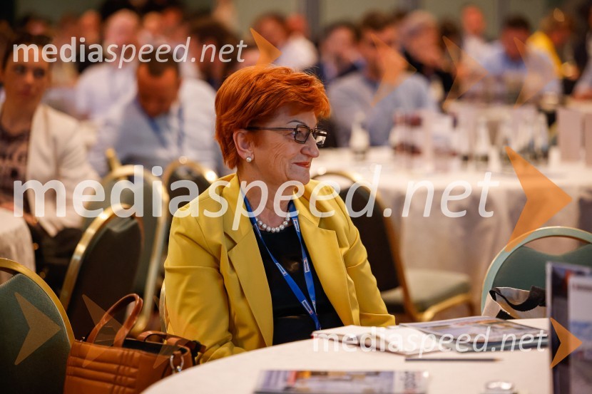 prof. dr.  Danica  Purg,  direktorica IEDC Poslovna šola Bled10. mednarodni Logistični kongres