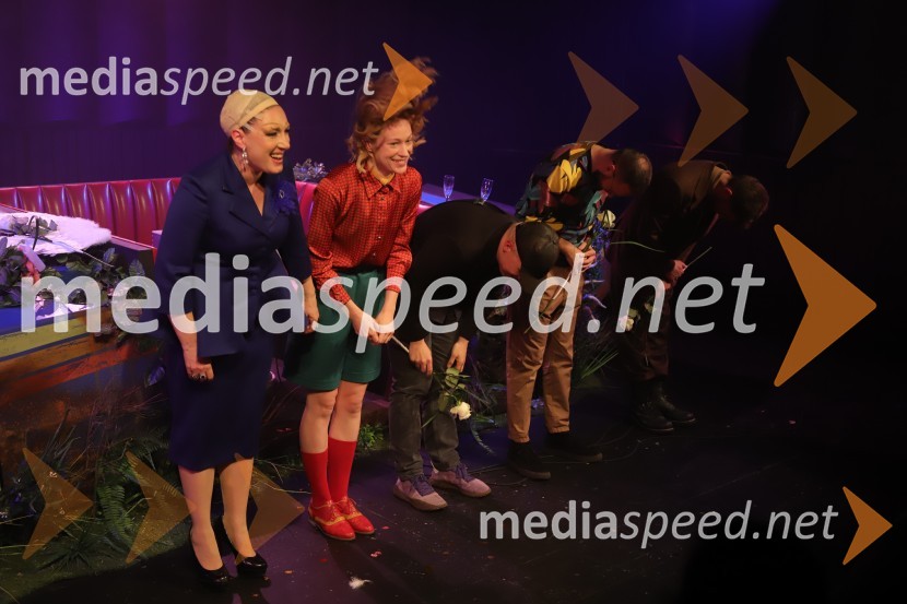  Maša Žilavec, igralka;  Julija Klavžar, igralka;  Nejc Gazvoda, filmski režiser in pisatelj;  Darjan Mihajlovič Cerar, scenograf;  Kristijan Ostanek, igralecKako sem se naučila voziti, premiera drame v SNG Maribor