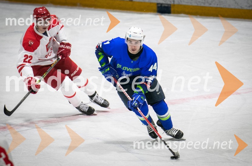 Hokejska tekma Slovenija - Poljska