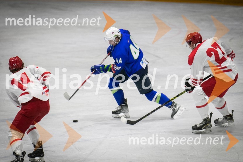 Hokejska tekma Slovenija - Poljska