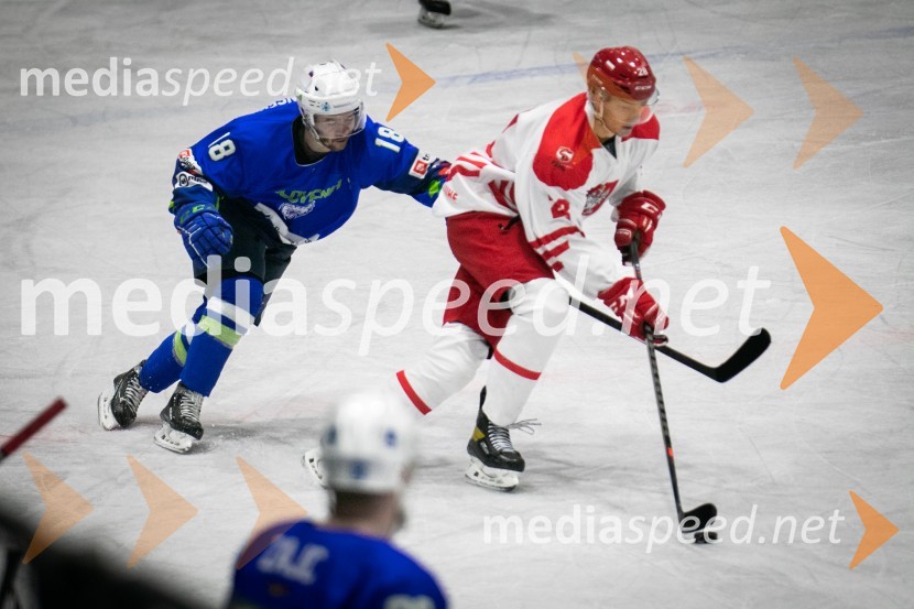 Hokejska tekma Slovenija - Poljska