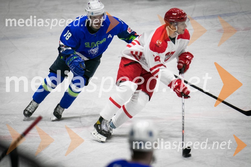 Hokejska tekma Slovenija - Poljska