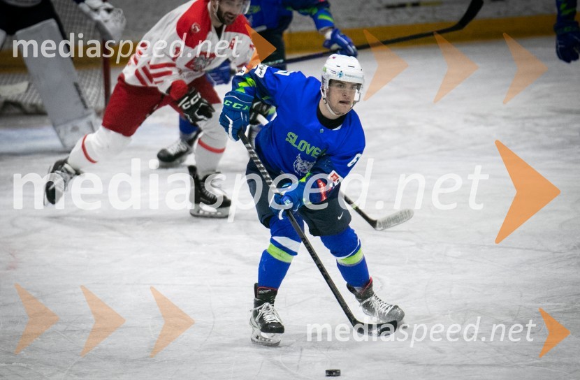 Hokejska tekma Slovenija - Poljska