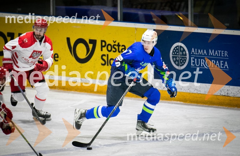 Hokejska tekma Slovenija - Poljska