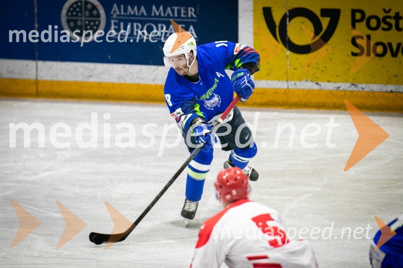 Hokejska tekma Slovenija - Poljska