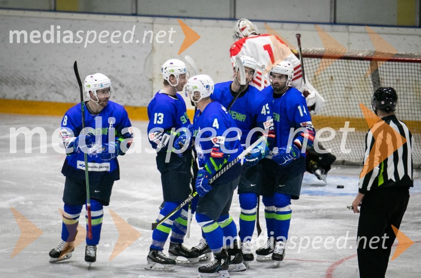  ... ;  Jan Drozg, hokejist;  ... ;  Luka Maver, hokejist;  Matic Podlipnik, hokejistHokejska tekma Slovenija - Poljska