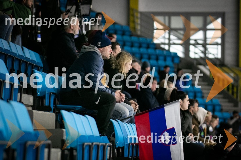 Hokejska tekma Slovenija - Poljska