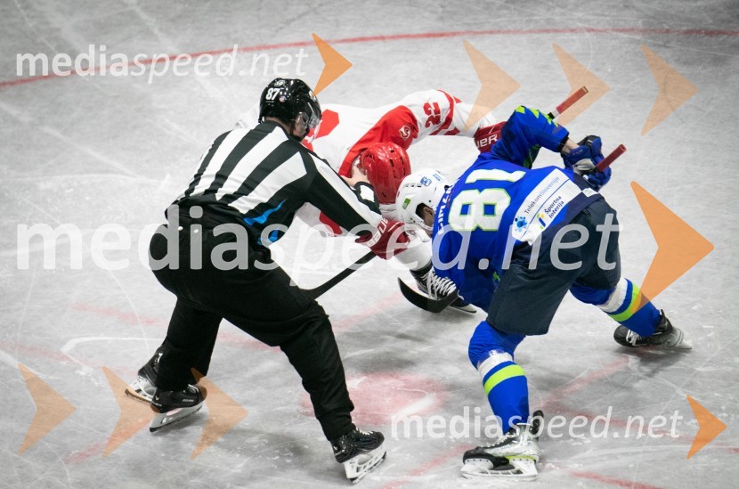  Tadej Čimžar, hokejistHokejska tekma Slovenija - Poljska