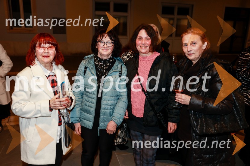 Sanja Valentin, premiera glasbeno - plesne komedije v Gledališču Koper