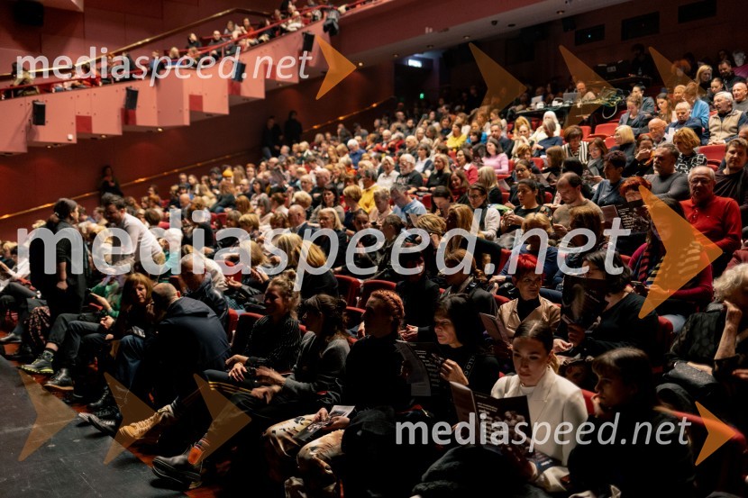 Wim Vandekeybus / Ultima Vez & KVS: roke se ne dotikajo tvojega dragocenega mene, plesna predstava v Cankarjevem domu