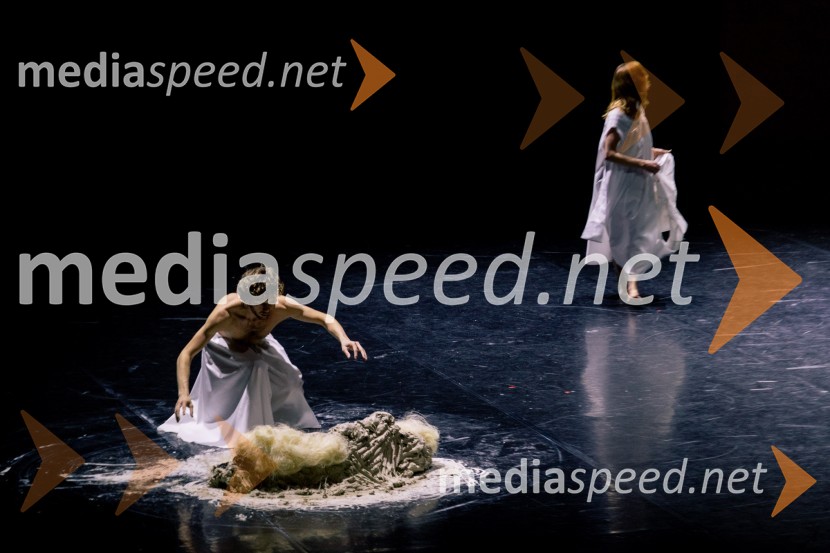 Wim Vandekeybus / Ultima Vez & KVS: roke se ne dotikajo tvojega dragocenega mene, plesna predstava v Cankarjevem domu