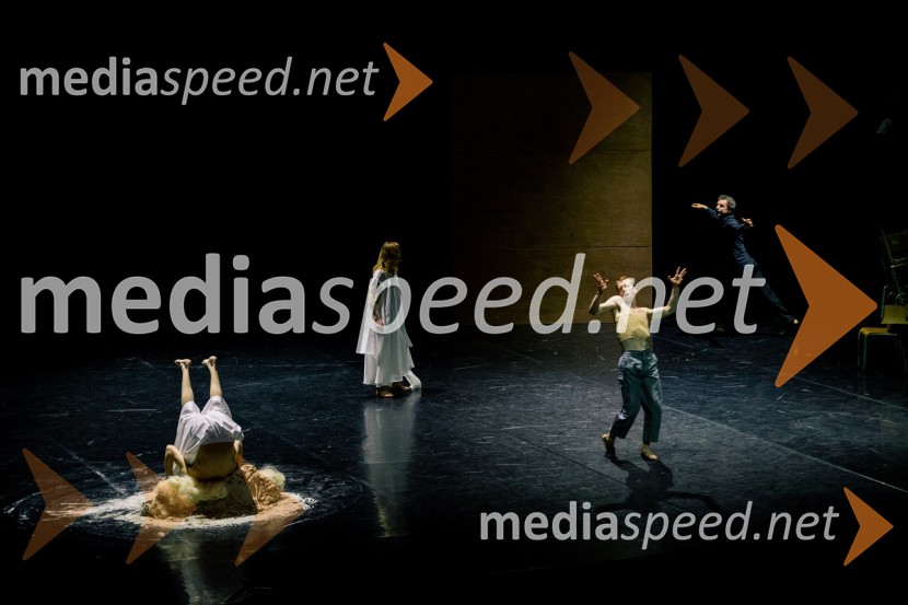 Wim Vandekeybus / Ultima Vez & KVS: roke se ne dotikajo tvojega dragocenega mene, plesna predstava v Cankarjevem domu